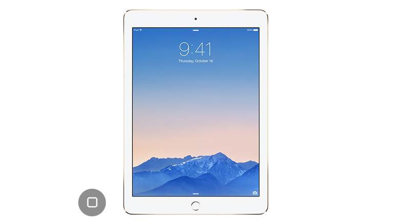 iPad Air 2 Home Button