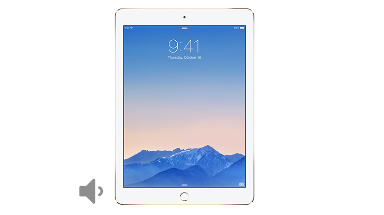 iPad Air 2 Volume Button