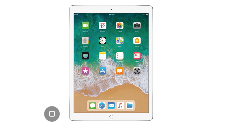 iPad Pro 12.9 2nd Gen Home Button