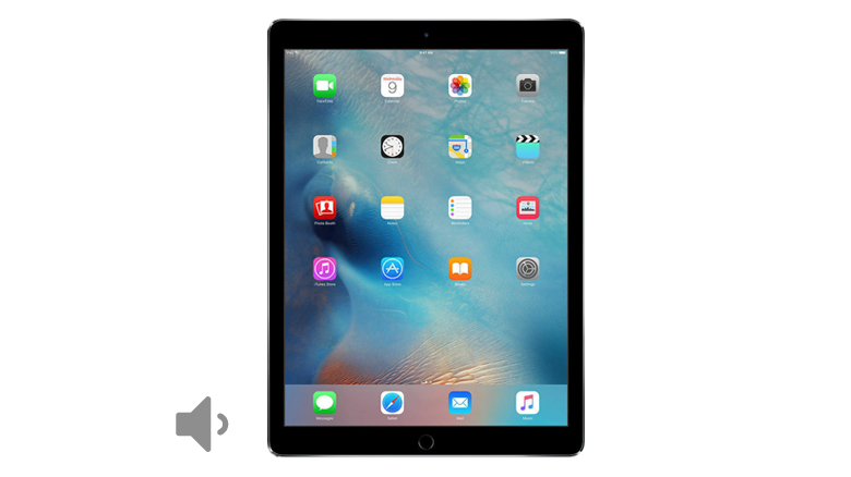 iPad Pro 12.9 Volume Button