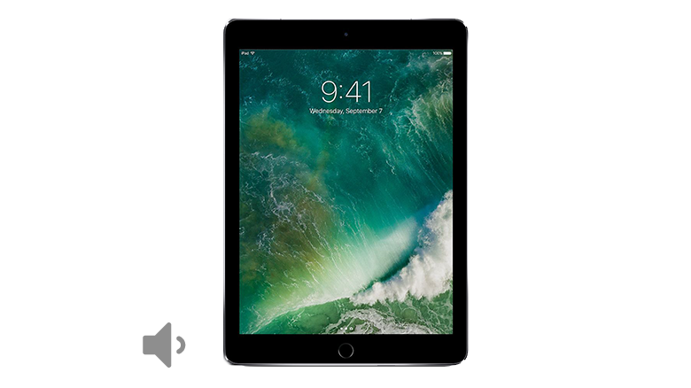 iPad Pro 9.7 Volume Buttons