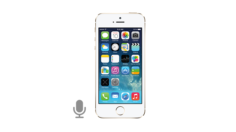 iPhone 5s/SE Microphone