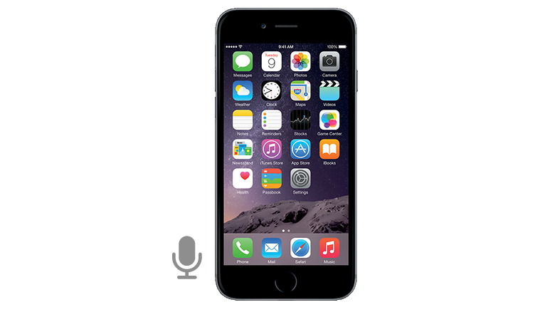 iPhone 6 Microphone