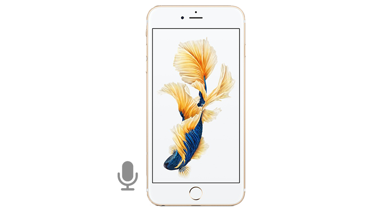 iPhone 6s Plus Microphone